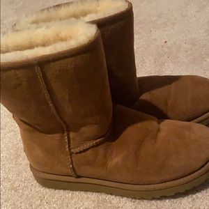 Hazelnut Uggs